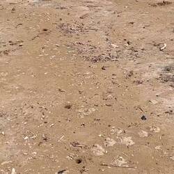 Meeega viu Chräbsli 🤩