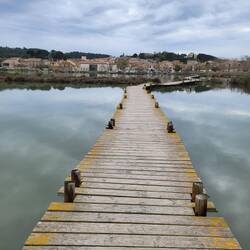 Gleich ist Peyriac-de-Mer wieder erreicht.