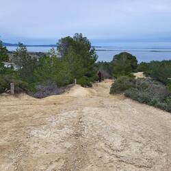 Da hinten kommen Wolli und Leni.