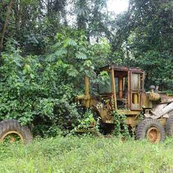 Der steht wohl schon ein Weilchen hier