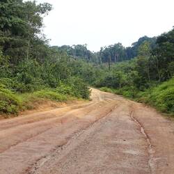 Ob man das noch Straße nennen kann?
