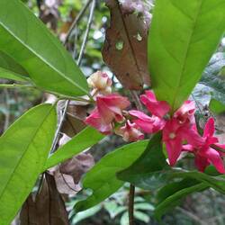 Hier blüht sogar mal eine Pflanze