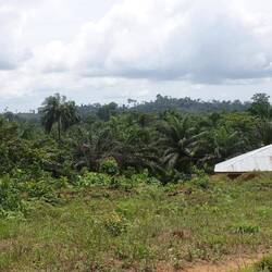 Ein schöner Ausblick