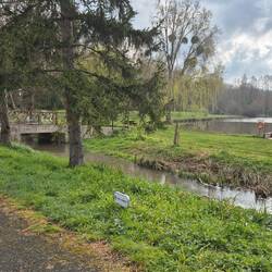 Schöner Stellplatz an einem Teich mit gepflegtem Park.