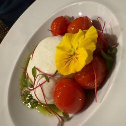 Burrata + Tomate + Pesto