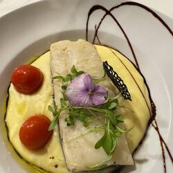 Bacalaho