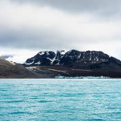 The glacier in the distance still terminates at the edge of the water — St Andrews Bay, SGI.