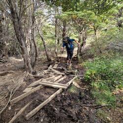 D'Brogge ond Stääg send ned öberall so top