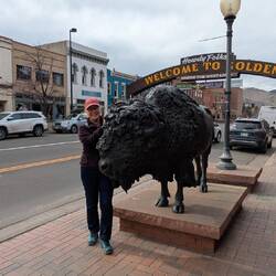 Petting the fluffy cow