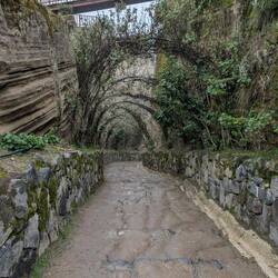 Der Weg runter zum See