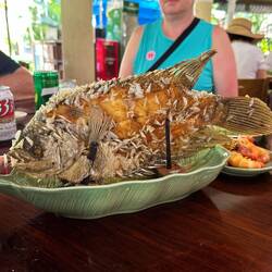 Lunch special - it was pretty good
