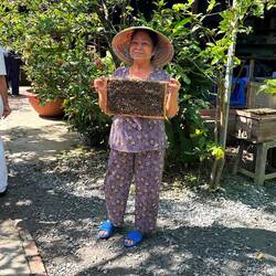 Honey, bee pollen, salves & miracle lotion