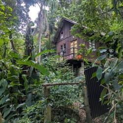 Spottet: Mona auf der Suche nach potentiellen Auswanderungshäusern 😇