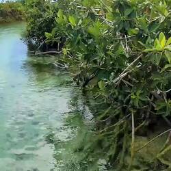 Bootstour im Reserva de la Biósfera Sian Ka'an