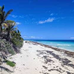 Strand im Reserva de la Biósfera Sian Ka'an