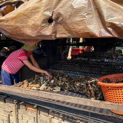 Smoked Fish - Kampong Khleang