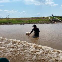 Wading fisherman in Tonle Sap