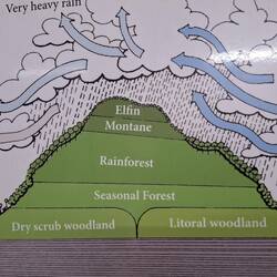 Different zones of vegetation on different heights