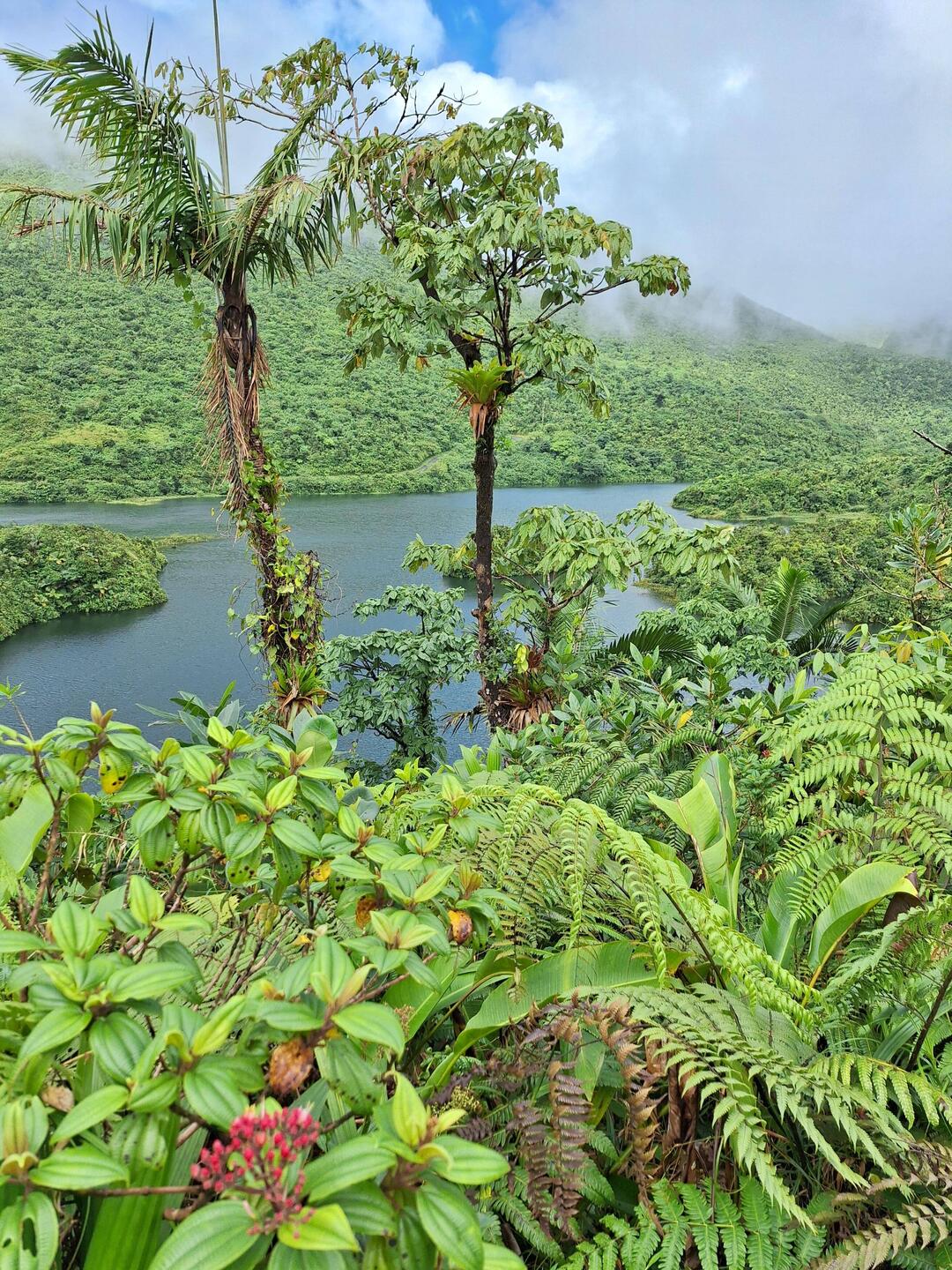 Fresh Water Lake hiking tour