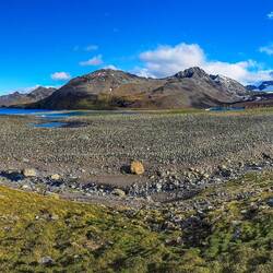 WOW! The world's biggest king penguin colony — St Andrews Bay, SGI.