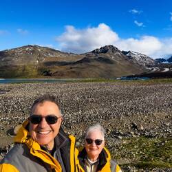 Selfie time ... world's biggest king penguin colony — St Andrews Bay, SGI.