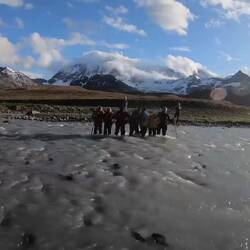 On the way back, some of us crossed the creek as a group — St Andrews Bay, SGI.