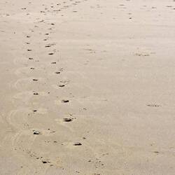 Those are 'footprints' leading up to that mound.