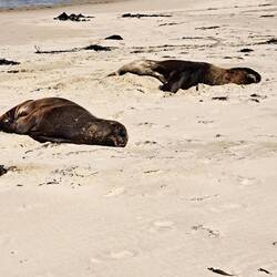 Both sleeping very deeply.