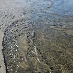 Mother Nature creates beauty in areas you just wouldn't expect.