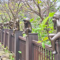 There's a monkey theme as real live ones live around the place
