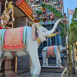 Elephants in front of the temple.