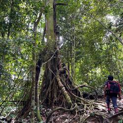 Trekking through the Jungle 🌳😮‍💨⛰️