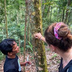 Local Heilmittel gege Malaria probiere ☺️