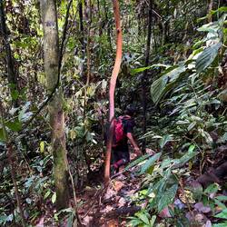 Trekking through the Jungle 🌳😮‍💨⛰️