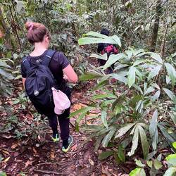 Trekking through the Jungle 🌳😮‍💨⛰️