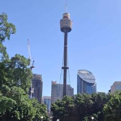 La Sydney Tower Eye