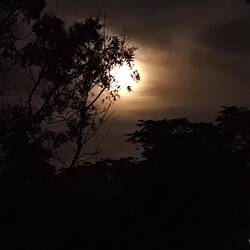 Blick von unserem Balkon vom Nice Place Hotel Dambulla