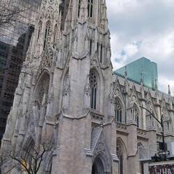 St. Patricks Cathredral