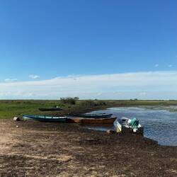 Esteros del Iberá