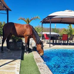 Das Foto am Pool hat Matthias gemacht.