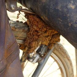 Was sich da alles angesammelt hat!