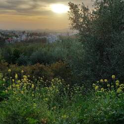 Unser Wohnzimmerausblick in Athen