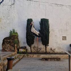 Man feiert ihn schon ein bisschen ab. 🤗