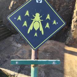 Warnung vor Wildbienen