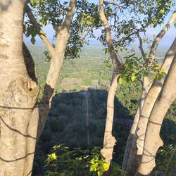 Blick auf den Pleasure Garden, durch den wir Eingangs liefen