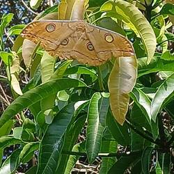 Handgros....muss ich noch nachlesen