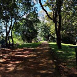 Der Weg zurück zum Parkplatz