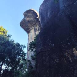 Cobra Head im Boulder Garden