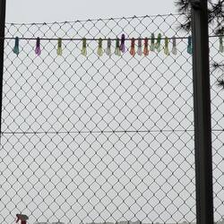 Die Wäschglubberla Parade🤣