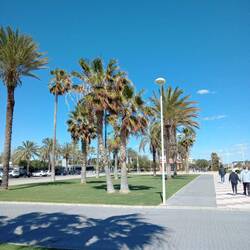 Ründili in Canet de Berenguer